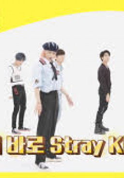 Weekly Idol Episode 493