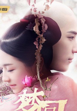 Dreaming Back to the Qing Dynasty