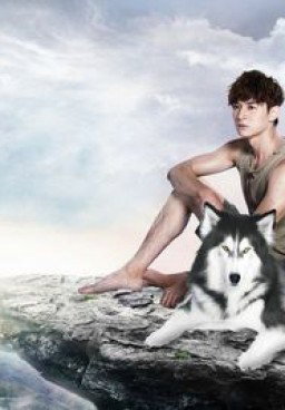 Prince of Wolf