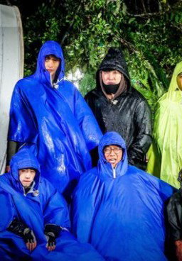 Law of the Jungle 268