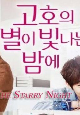 Go Ho The Starry Night